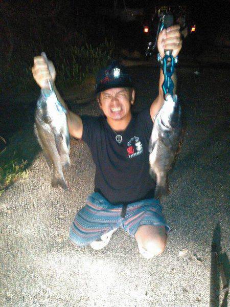 今日はトップオンリー